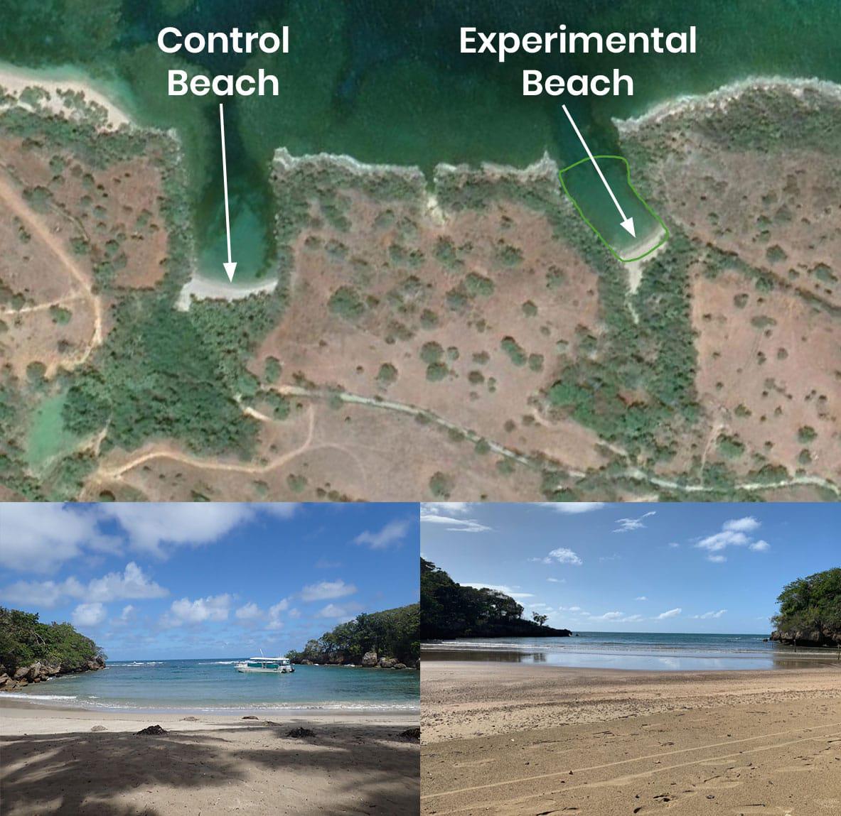 experimental-and-control-beaches