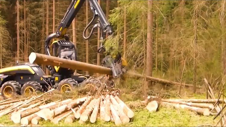 QLXXV477NVGX7HP2PHV276PNOM