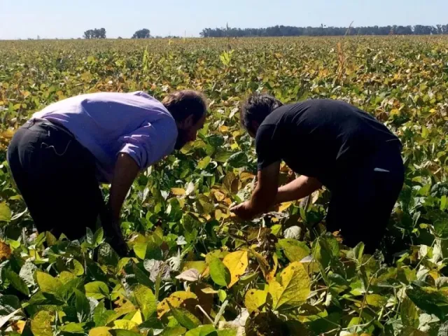 la-primavera-agroecologia-epu-2