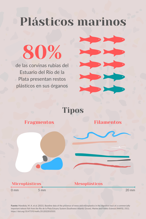 Microsplásticos-infografía-1024x1536