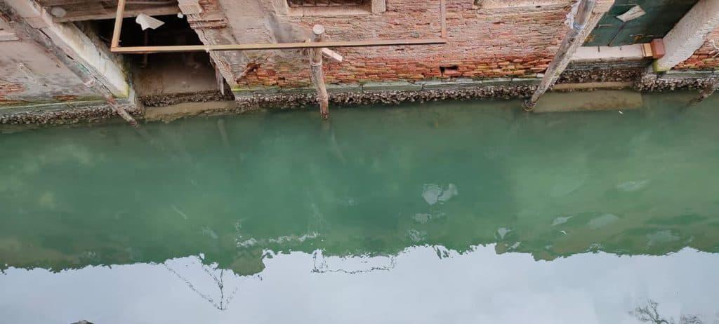 89875967_10221212452483416_7836533973219016704_o-1024x462