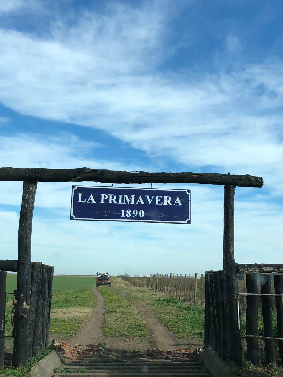 60b4c790e9ff7137f07faf8b