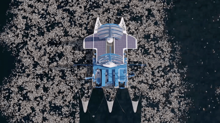 manta-2_resize_md