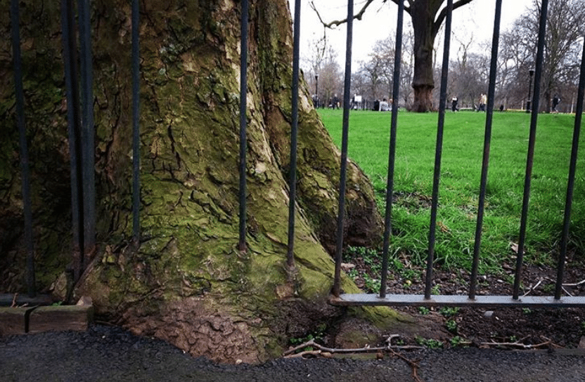 Captura-de-Pantalla-2020-06-26-a-las-13.47.00