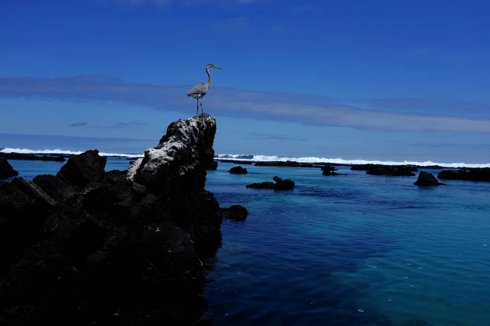 FX4VB5EZ3OVOCZGPIQ4TQPLZSM