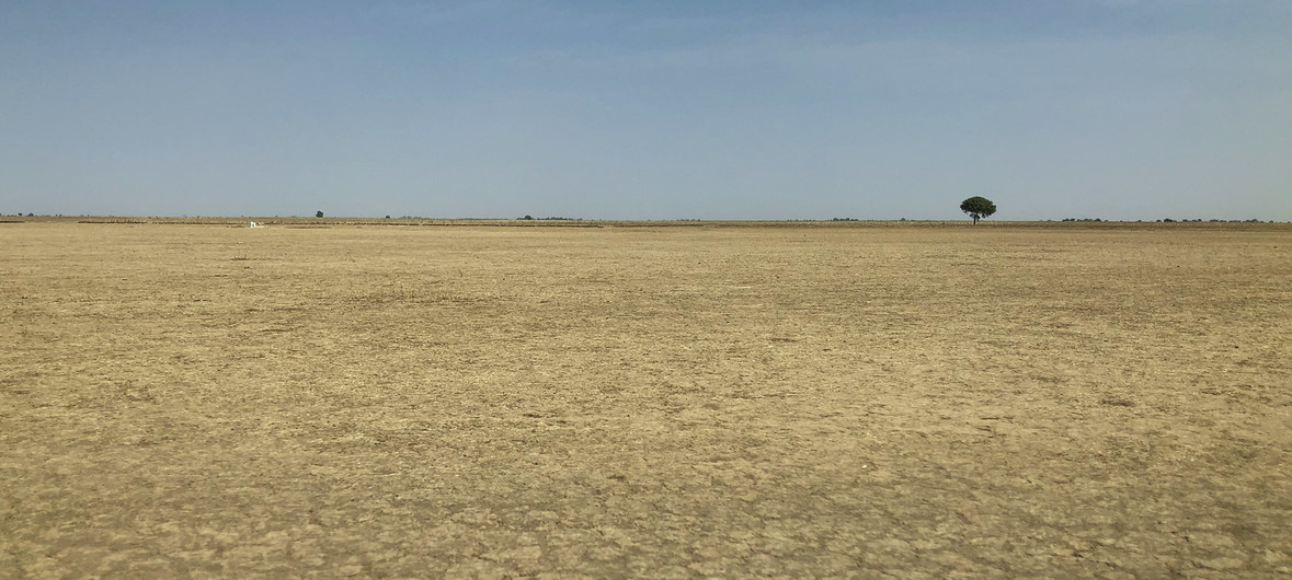 image1170x530cropped (5)