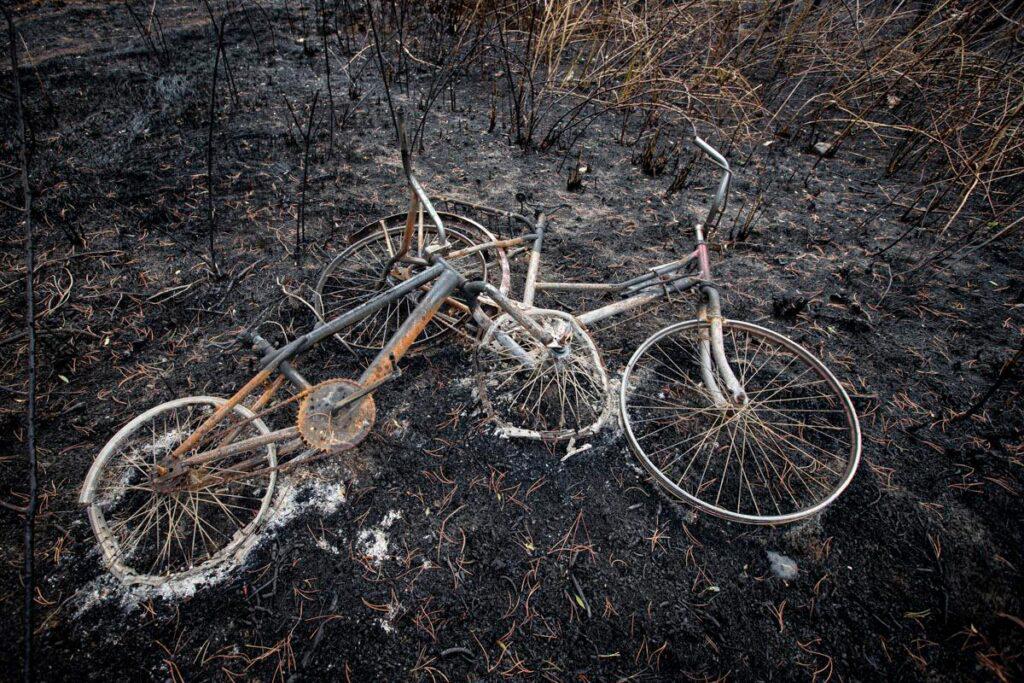 incendios_el_hoyo_columna_3-1024x683