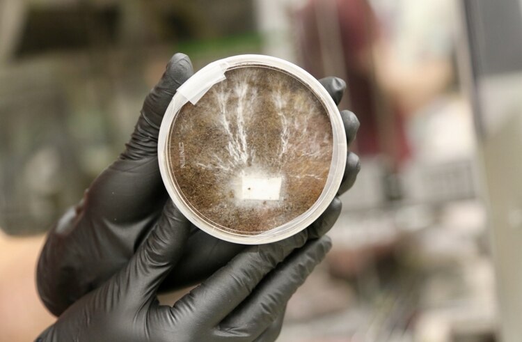 LLRJ7ABKVNAHXOLHKKY4OFLOSI