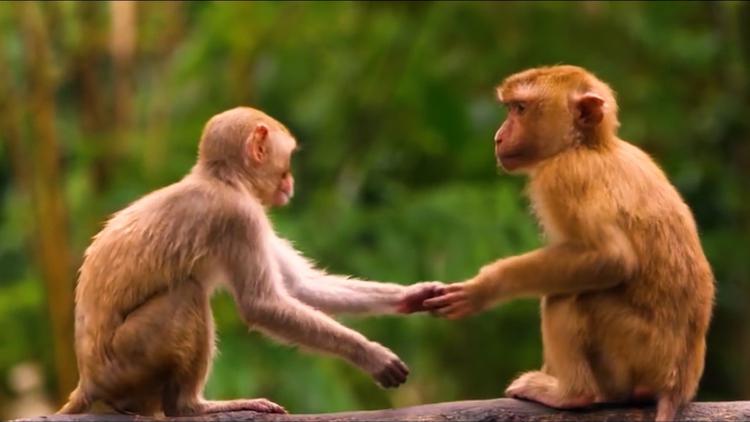 O3OQOITONND4HAJXD576NKQN6E