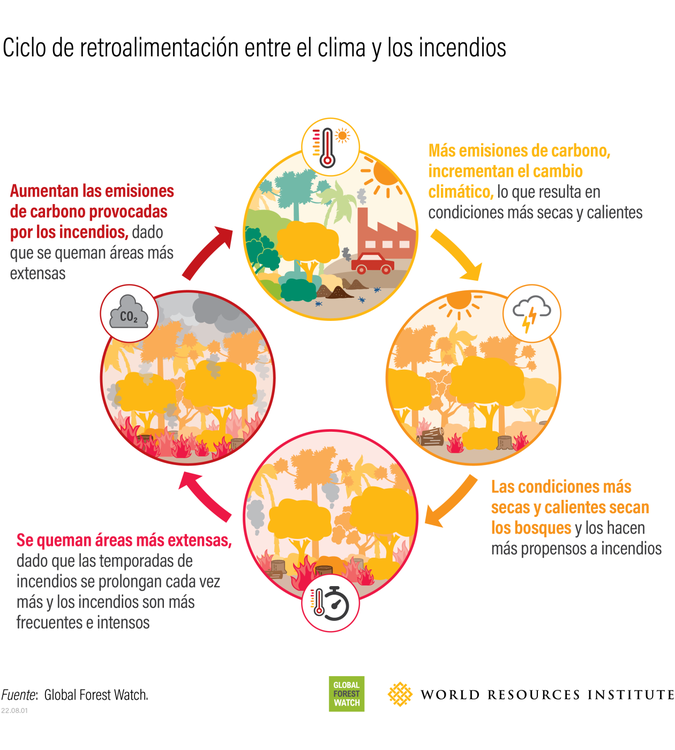 22.08.01_Fire Feedback Loop_Insights_SPAN (1)