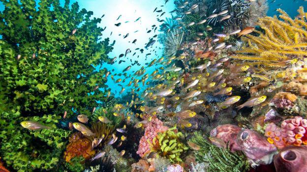 _114418892_gettyimages-657928944