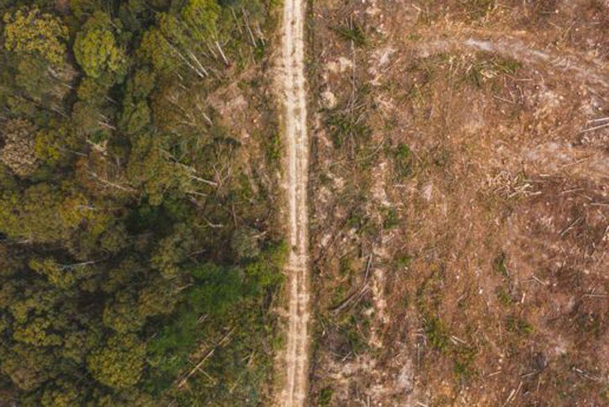 ZW7F2XEFHFACNPZJJIDWKKEQAQ