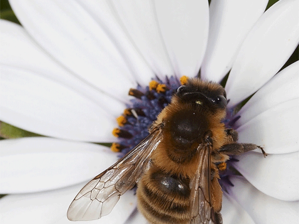 J2ZN5VX3YRGKPAOHNOUQ5FATDA