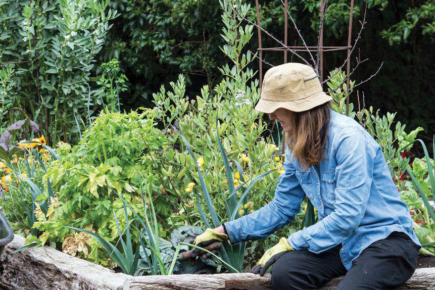 DDLJJPMZT5GYFGKDVSQ4RWXU7E