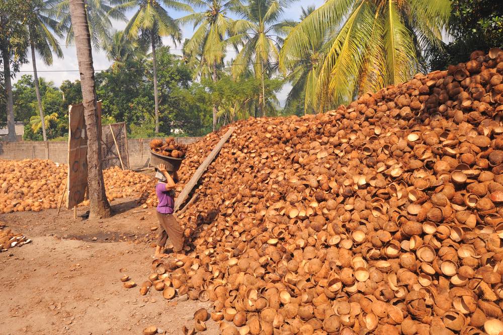 cascaras-de-coco