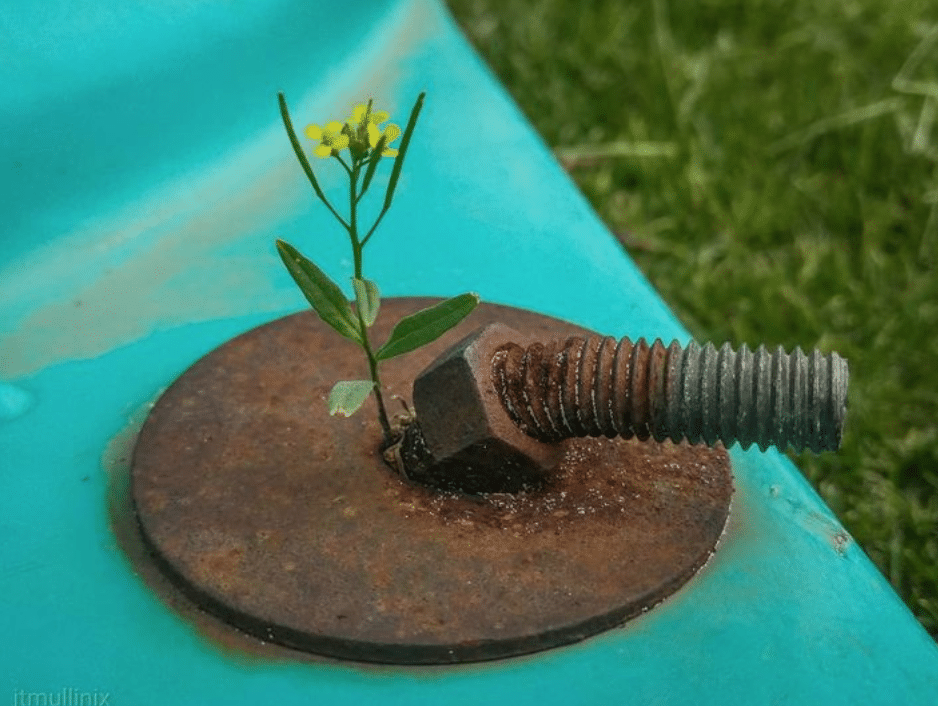 Captura-de-Pantalla-2020-06-26-a-las-13.46.35