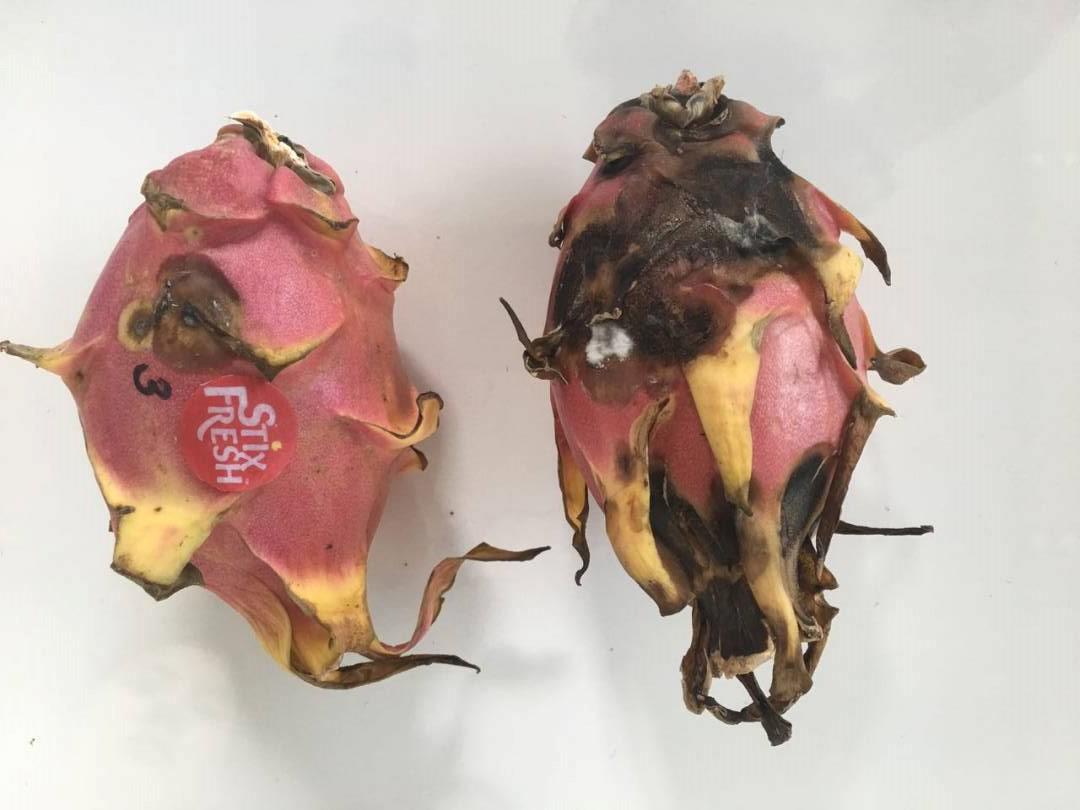 23845649_1507858769305844_2684652609468767313_o