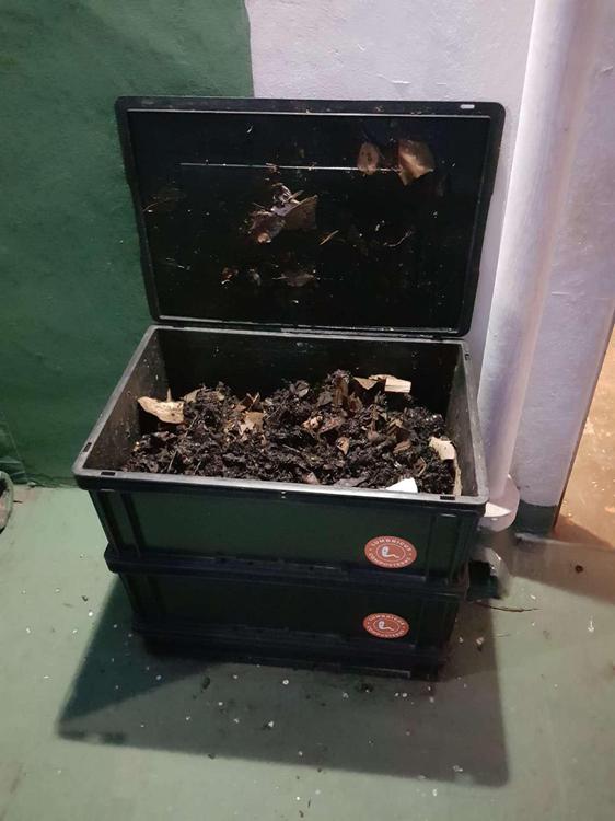 BXYYORWL5REPJIEVMFB7EHO4Z4