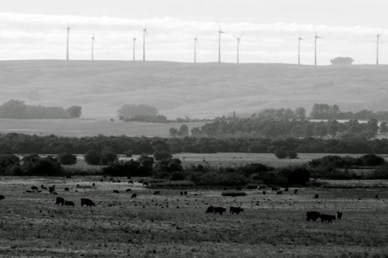 web-viento-molinos-2-foto-M-Franke