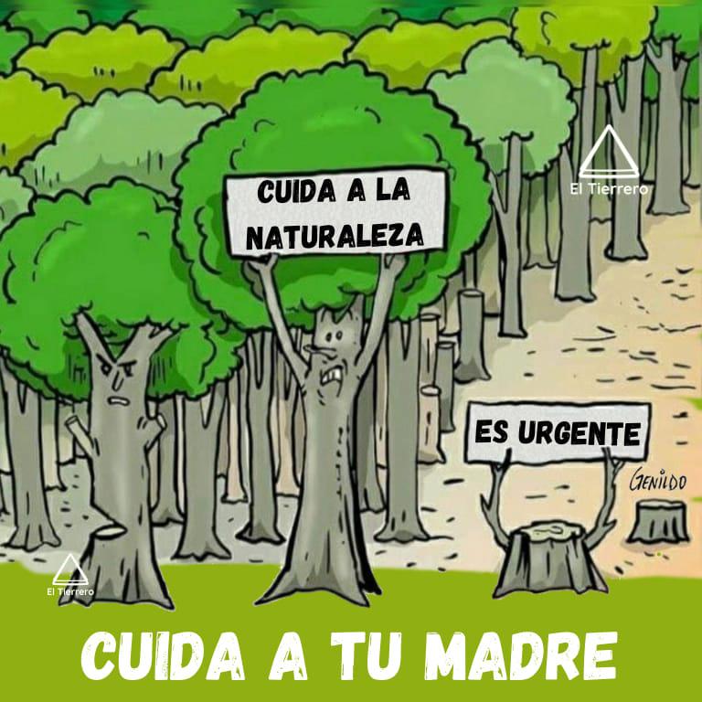 162619130_3638971119533911_1016158394929215372_n