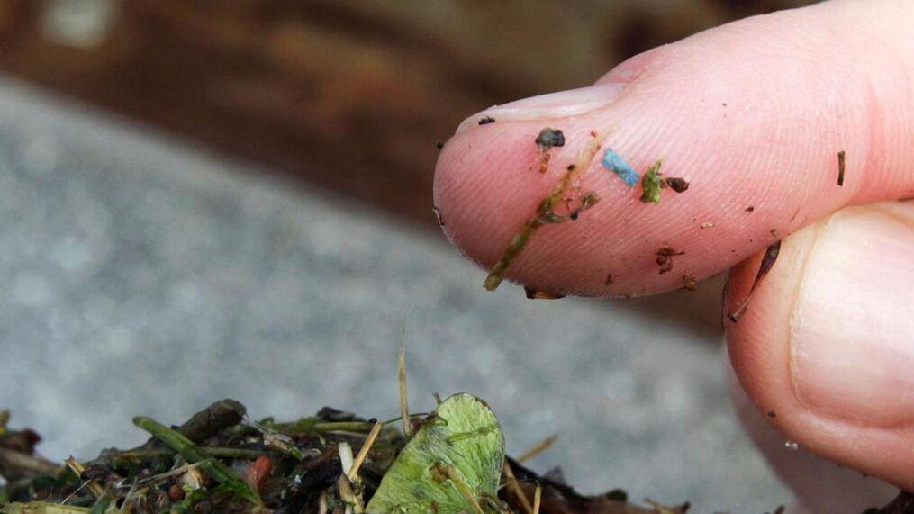 microplastico-abejas.26-05-2021.medio-ambiente