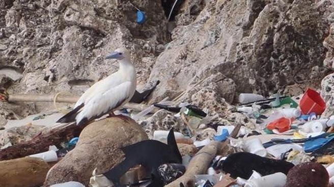 lv_20150901_lv_fotos_d_54435054376-kh3d--656x368xlavanguardia-web.jpg_1808932553