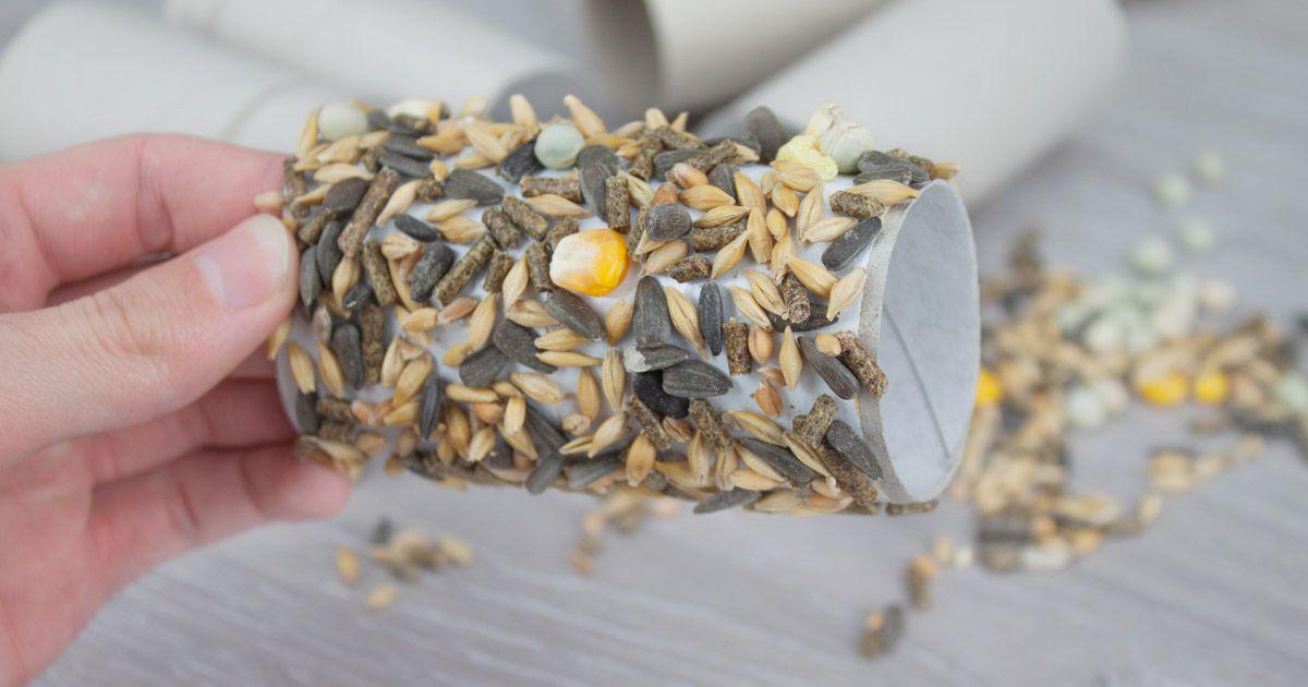 553a1a2031ecbbb48131eeaab97c51a6