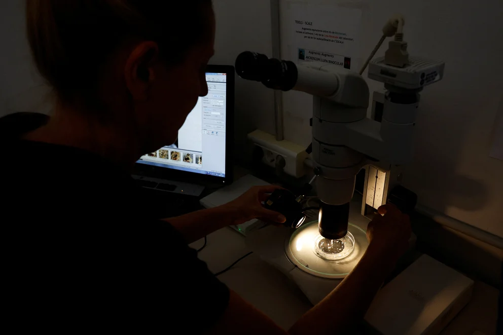 547RCC4HL4UXP3JFGMPKMW7CY4