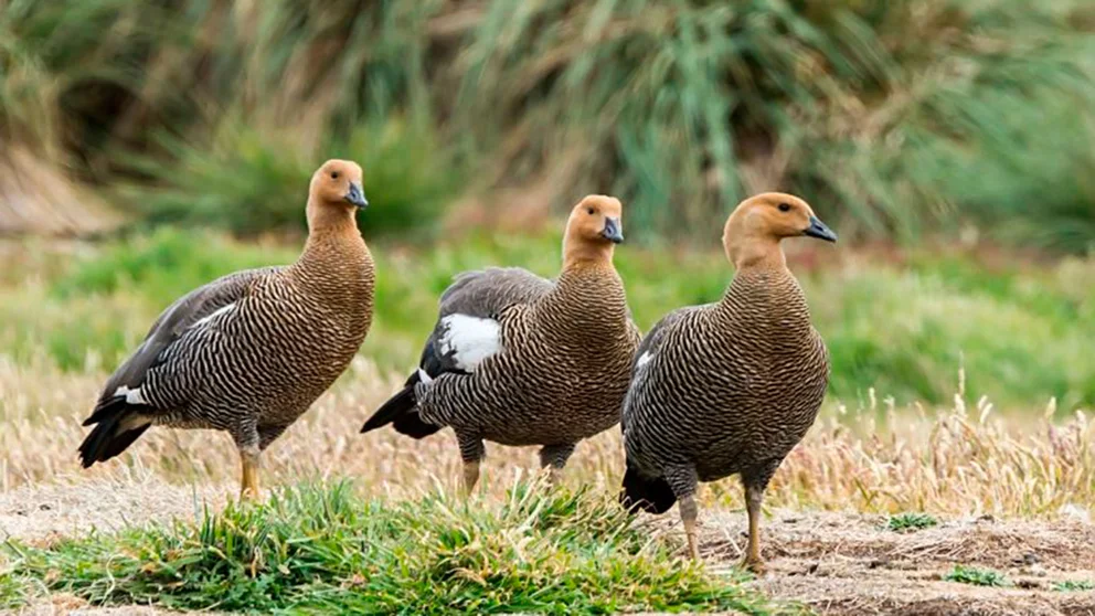 U2DNGRW2LVCPRPKCIQ6GNIQ5PI