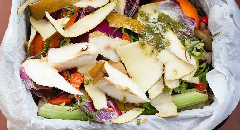 Pieles-de-fruta-basura