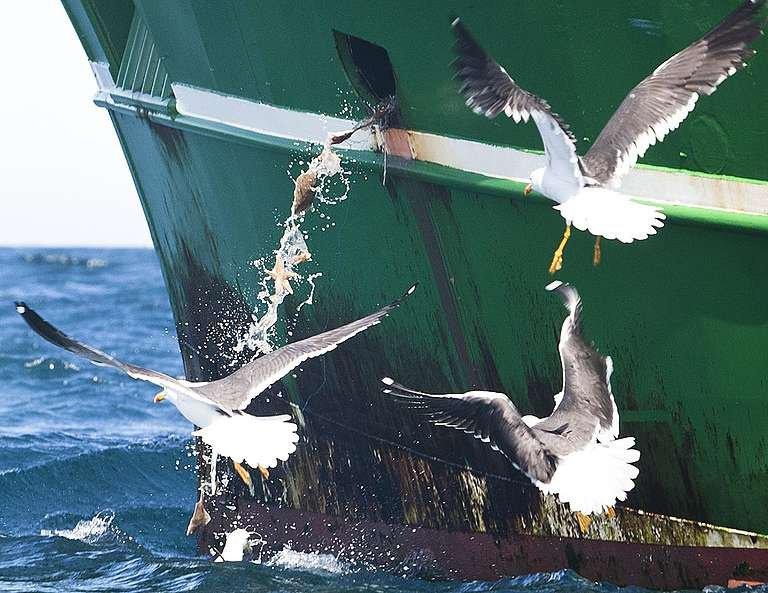 img_20200302_1101473953034366621844365