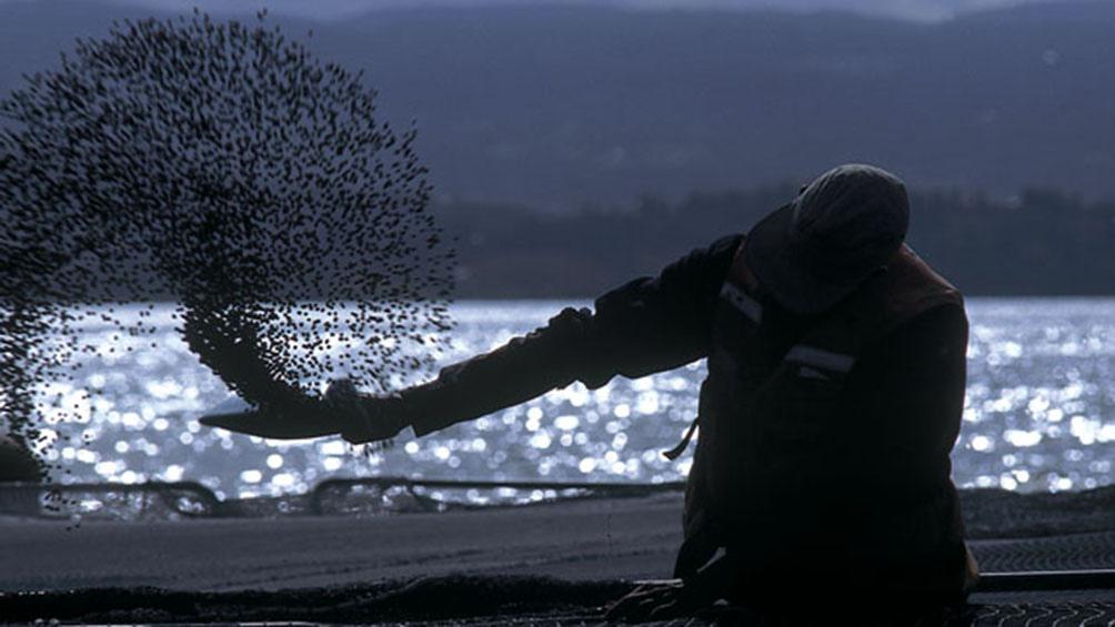 60dc71c742609_1004x565