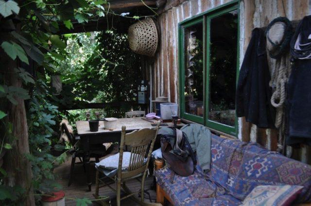 Jill-Redwood3-e1487524261862