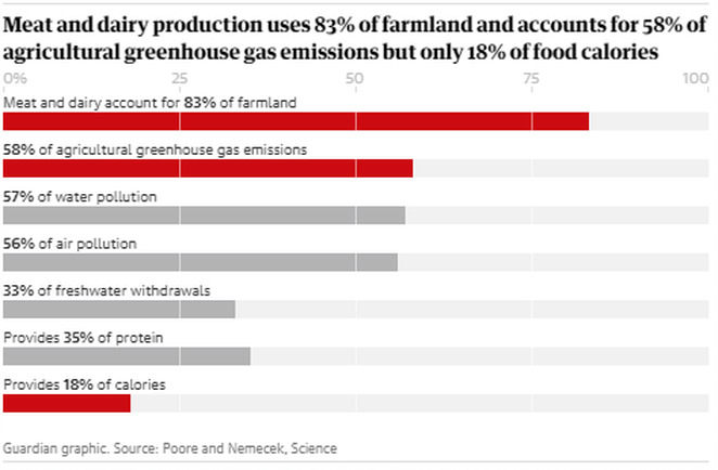 11c77a_55c69f2c9dab4db794851ce2e6c82390_mv2
