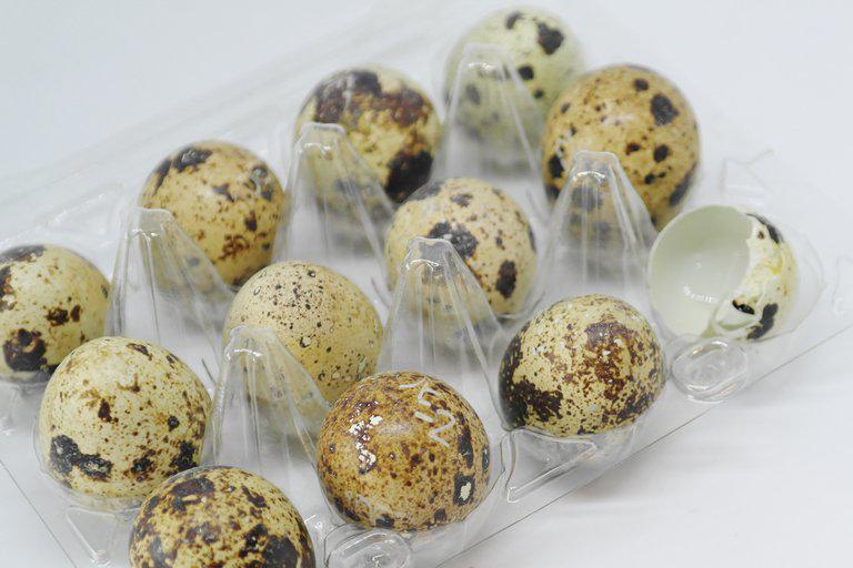 NZBXRBFT35EBNE5L5C7YCKCFCM