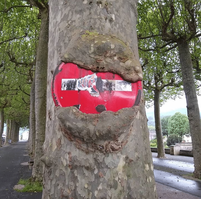 Captura-de-Pantalla-2020-06-26-a-las-13.48.36