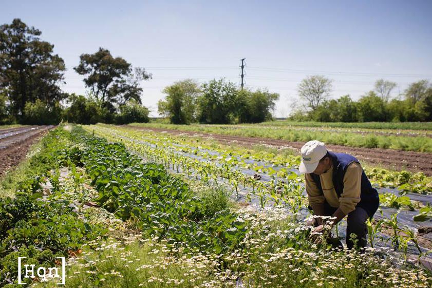 02-44303277_2083760098313589_4719708590565228544_n-1