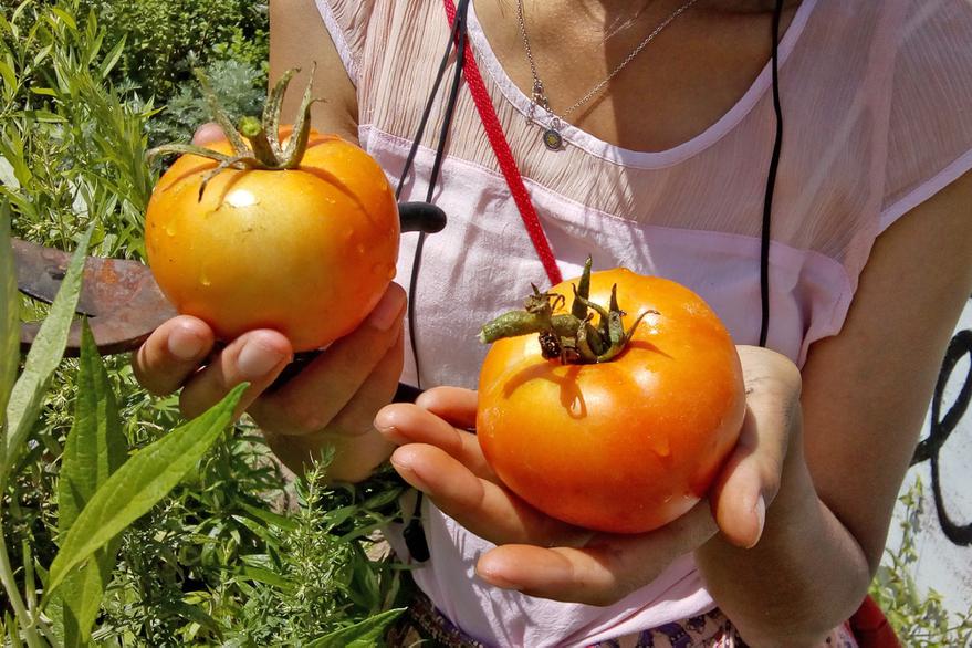 HHXLGXLDOZE5ZNJVZGP2H7SVXA