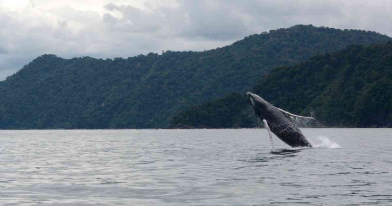 f768x1-1257227_1257354_5050