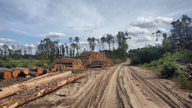 _114418852_gettyimages-1171465337