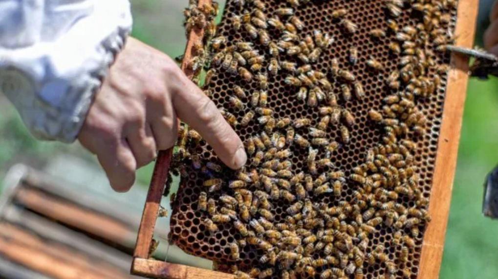 Screenshot_20220520-091151_Outlook