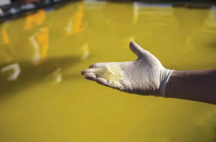 60fec59184412_700_462!