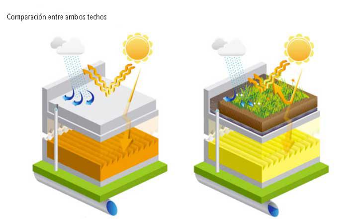 beneficios-techos-verdes