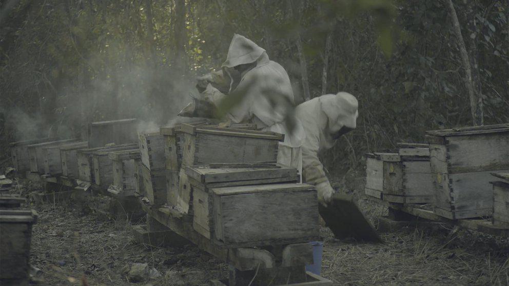 NHASMKVSZJEN5ME7V2NY6J7NZU