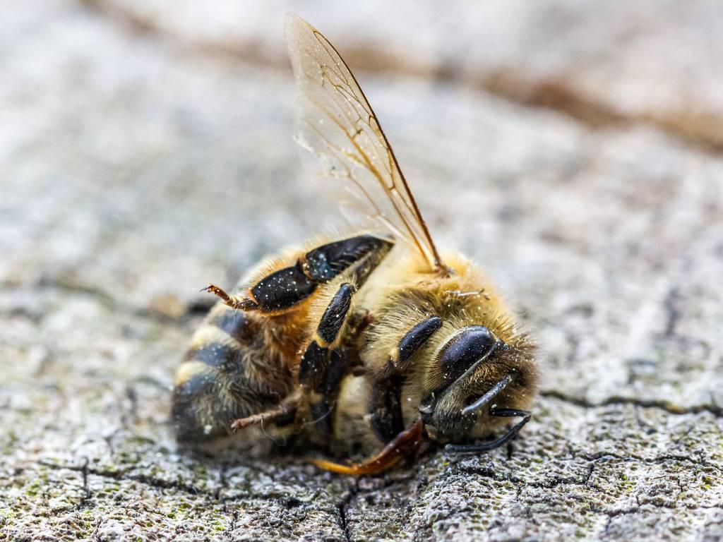 KE25QCKT5RBCDIA6FUOKHT546U