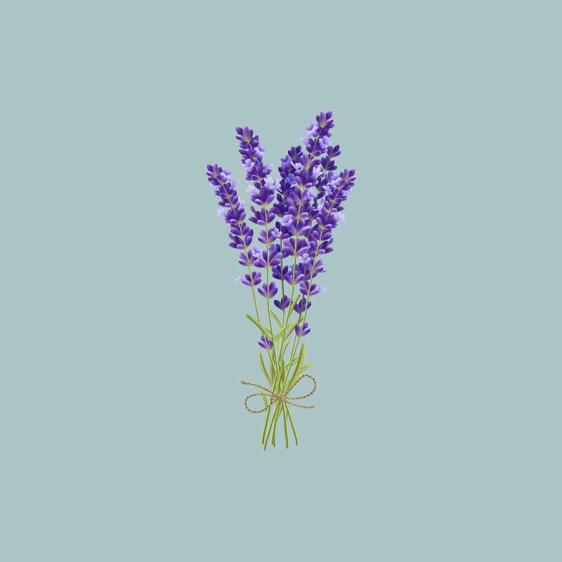 flores-temporada-z