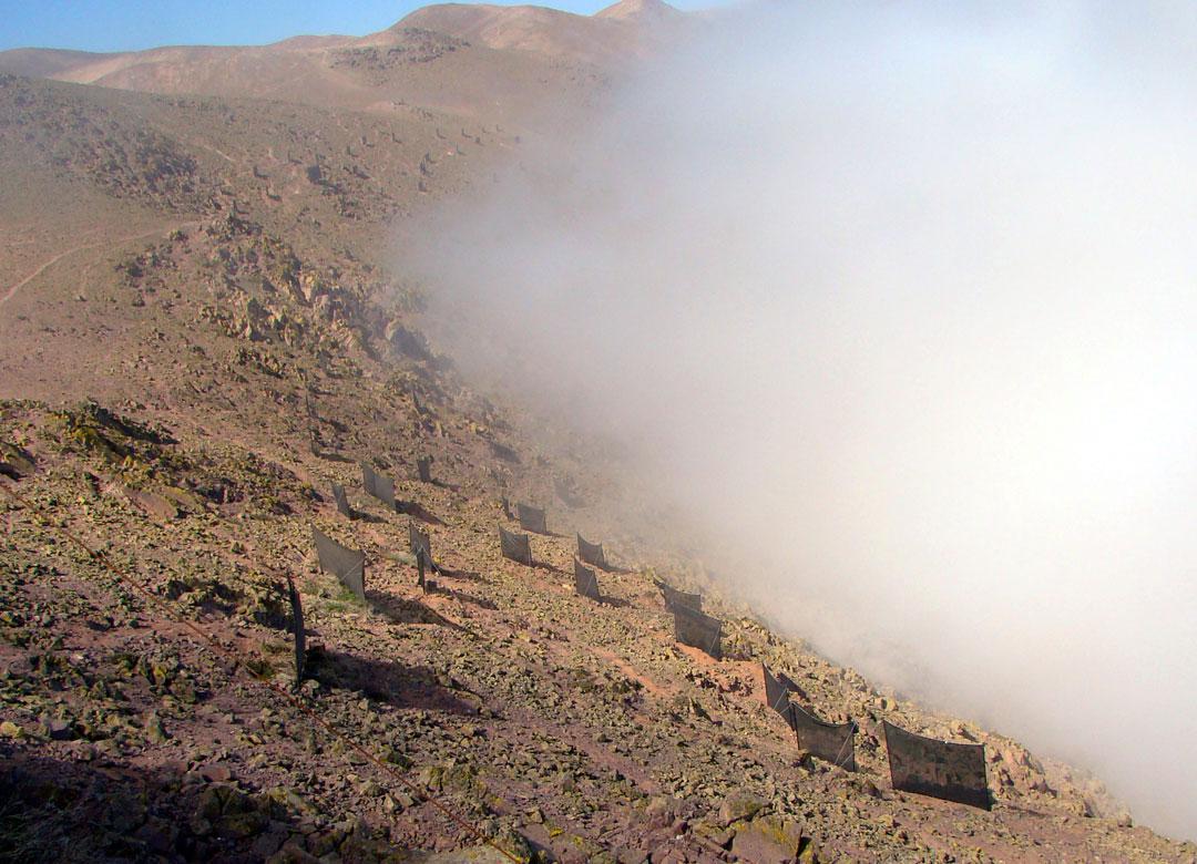 multimedia.normal.8891b0676131fa8c.70726f796563746f2d6361637475732d72617175656c2d70696e746f2d6a756c5f6e6f726d616c2e6a7067