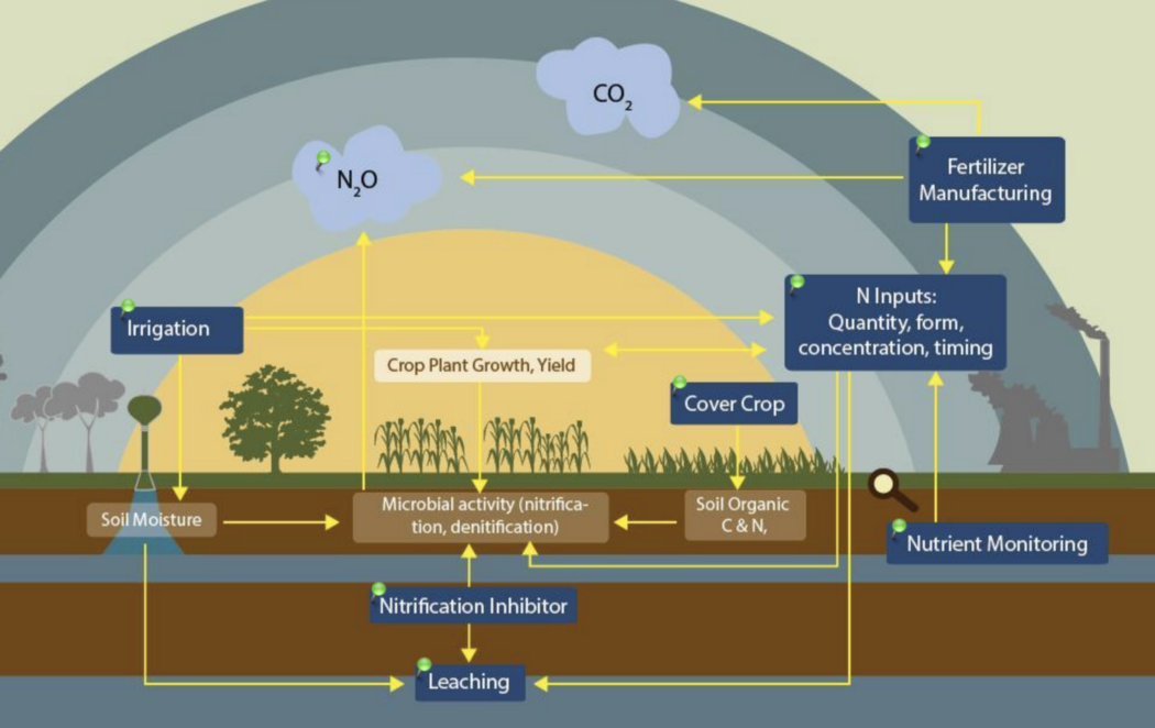 1_eQ4zSdE5-f8OGsbcsnu6lA