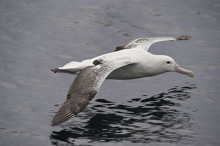 img_20200302_110211-14742834996128944304