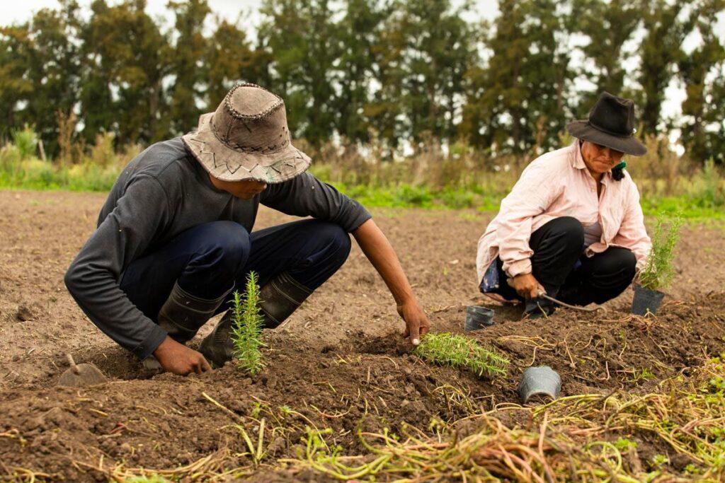 alimentacion_y_nutricion_fao_03-1024x683